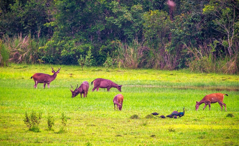 anh 13 20240120170302 1450