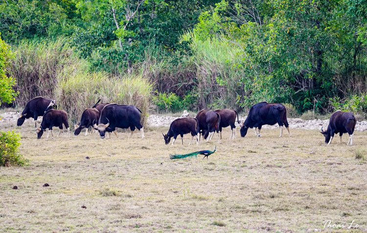 images2273845 t8 dsc01417