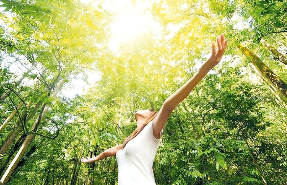Du lịch sinh thái để chữa lành: hãy để thiên nhiên giúp bạn tươi trẻ trở lại 7 suc manh chua lanh benh UKOW