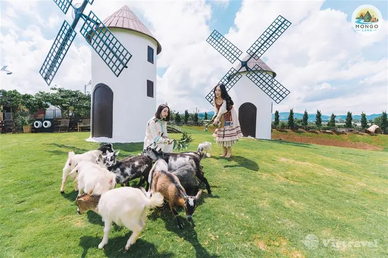 tf 230907013050 349088 034 MongoLand