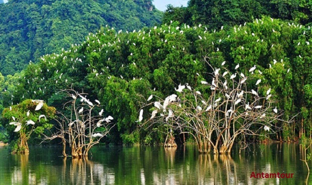 tranghaandulichnoitroi2