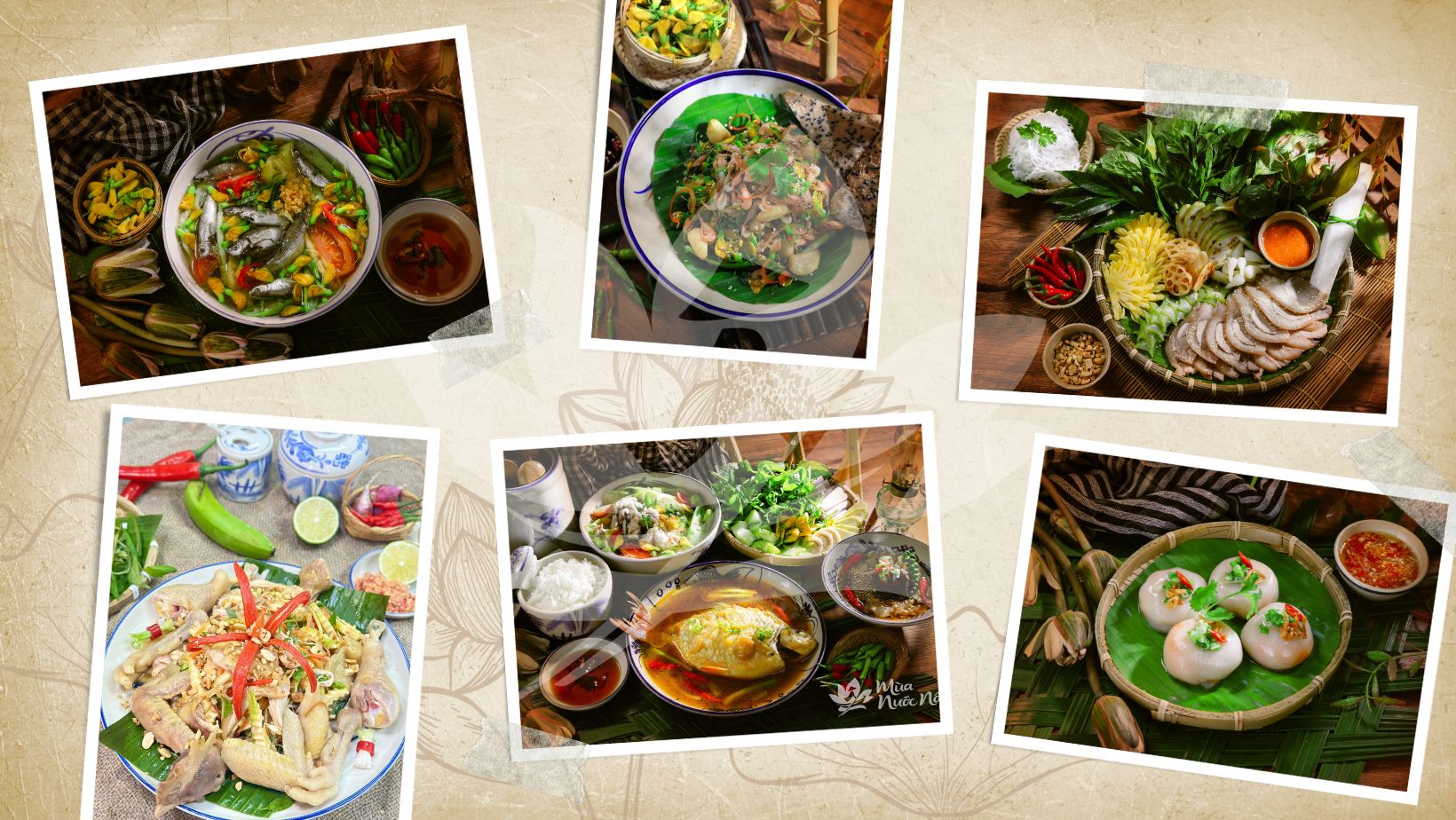 Du lịch sinh thái miền Tây mùa nước nổi Du lịch sinh thái miền Tây mùa nước nổi