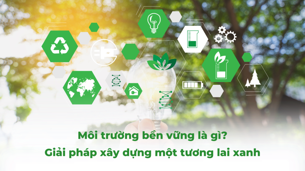 Môi trường bền vững là gì? Giải pháp xây dựng một tương lai xanh