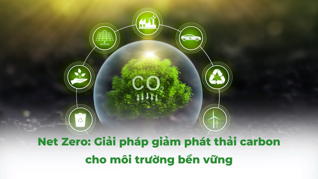 Net Zero: Giải pháp giảm phát thải carbon cho môi trường bền vững