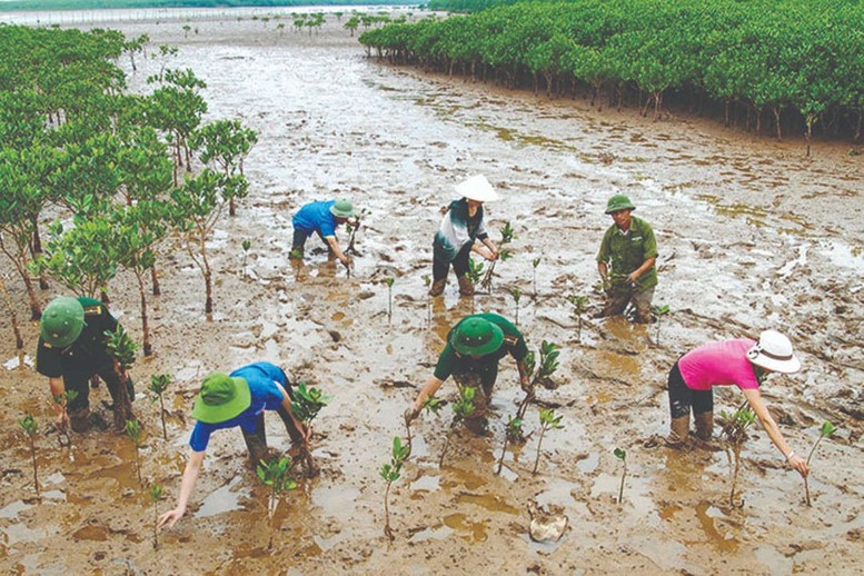 Ứng phó với biến đổi khí hậu cần lấy người dân làm trung tâm, không bỏ lại phía sau bất cứ một quốc gia, cộng đồng hay người dân nào