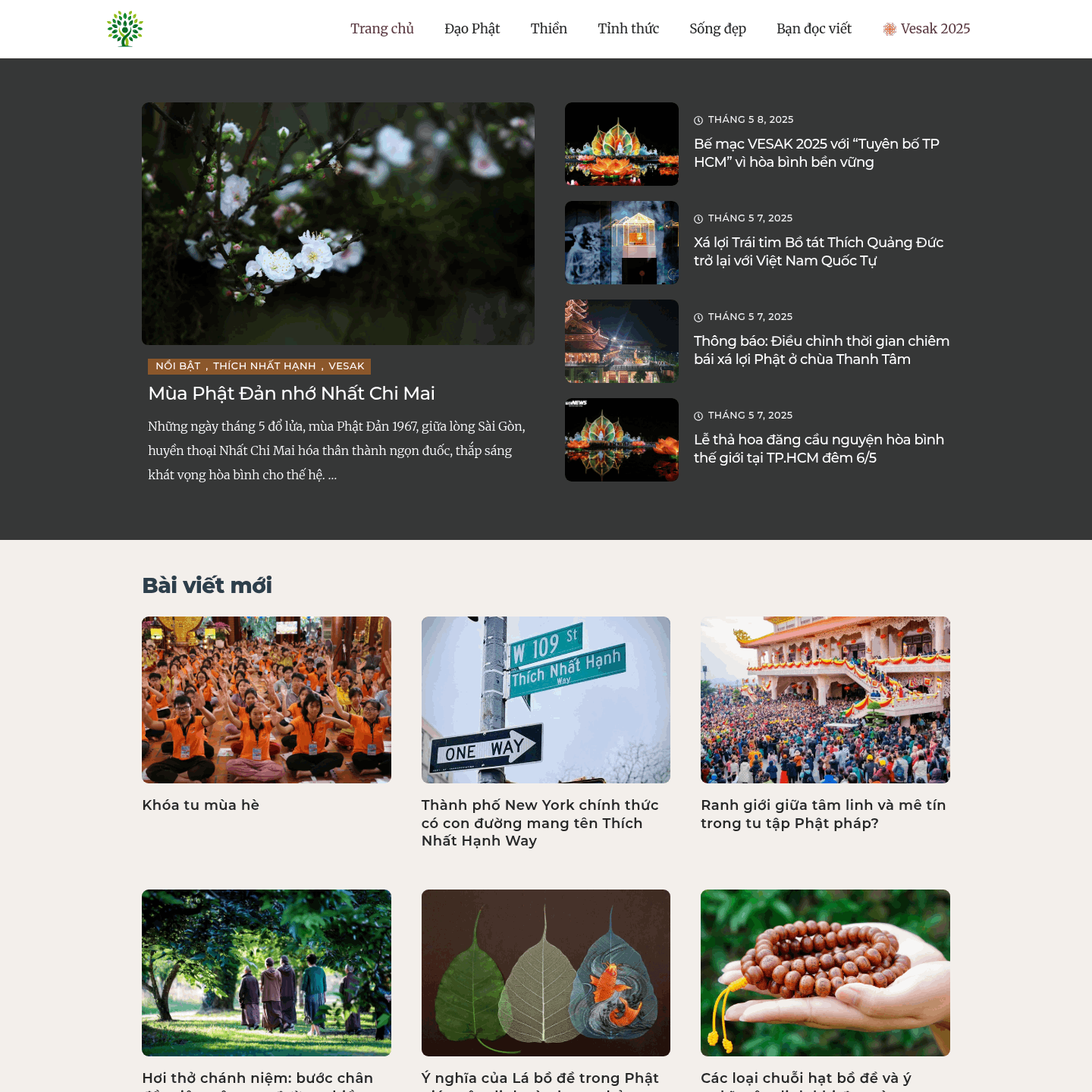 TTECO Domains 21 caybode.com