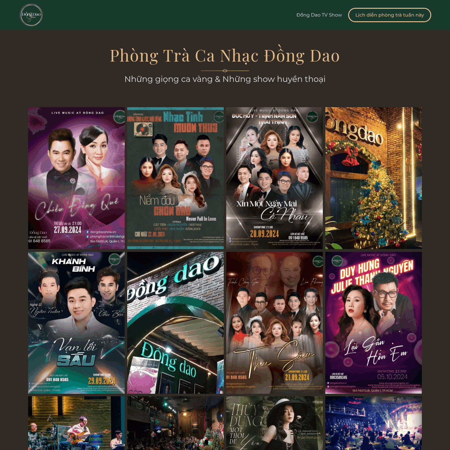 TTECO Domains 6 Phòng trà Đồng Dao