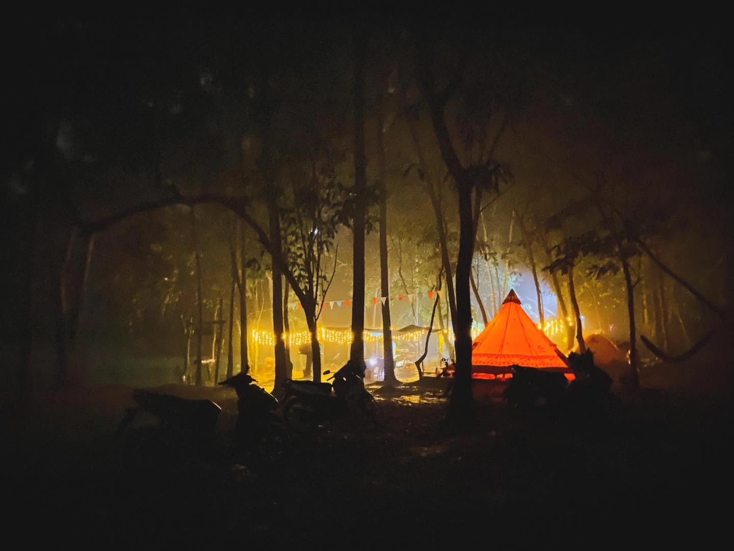 ng Rừng Camping & Fishing