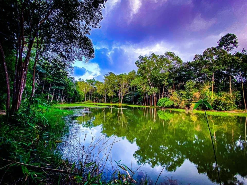 ng Rừng Camping & Fishing