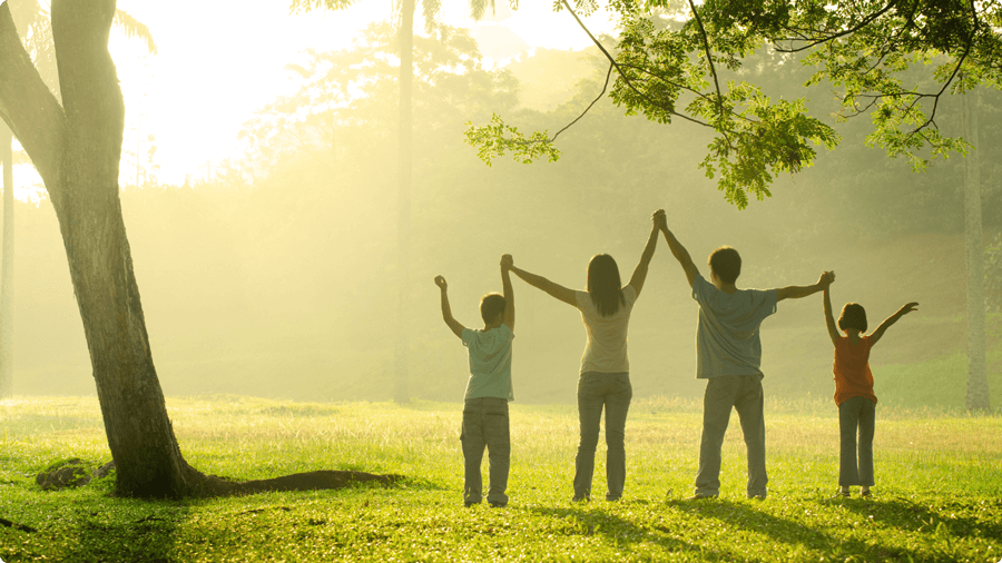 bai viet ve voi thien nhien chua lanh tinh than 02