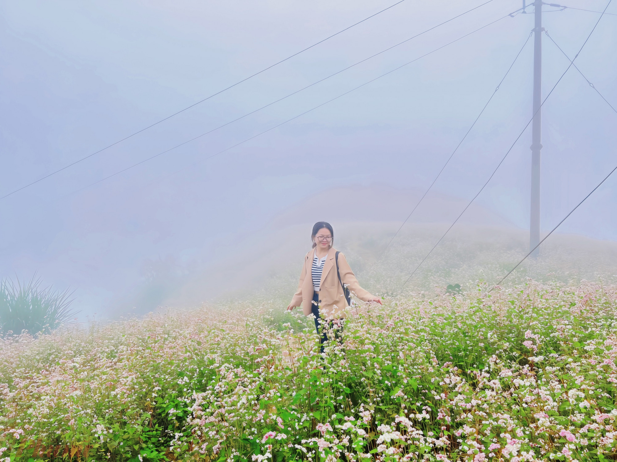 Trải nghiệm Mùa thu Hà Giang: Tuyệt sắc Lũng Cú - Đồng Văn 9 Những bông hoa tam giác mạch ẩn mình trong lớp sương sớm mai.